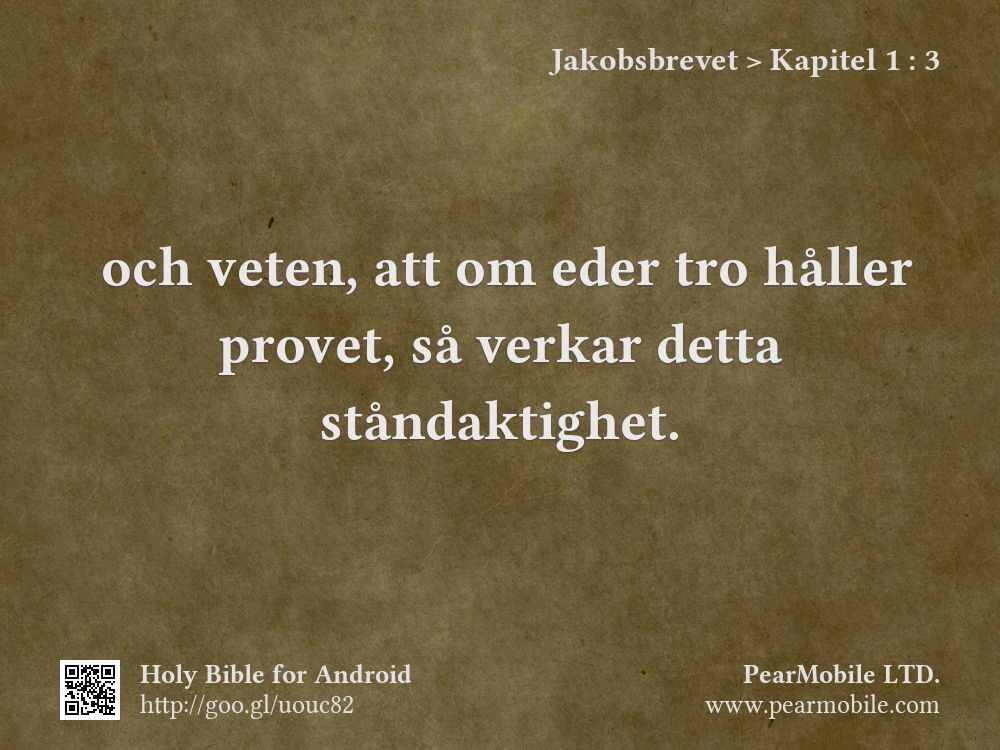 Jakobsbrevet, Kapitel 1:3